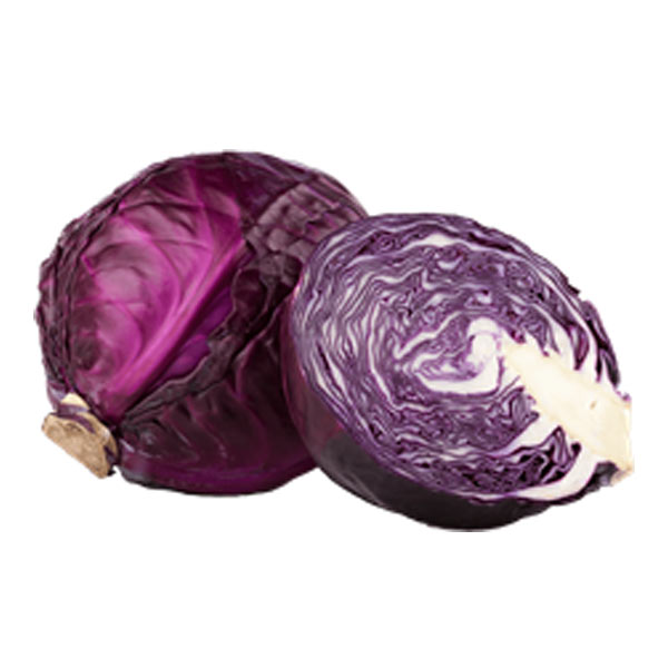 Cabbage Red - Kilo