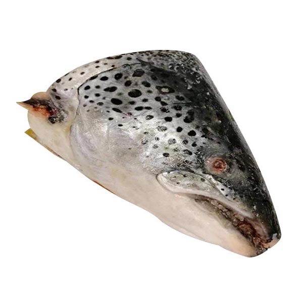 Salmon Head