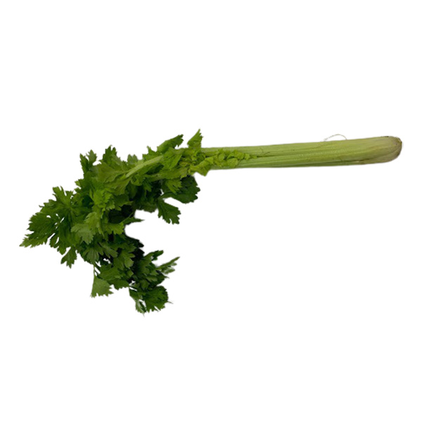 QV Celery