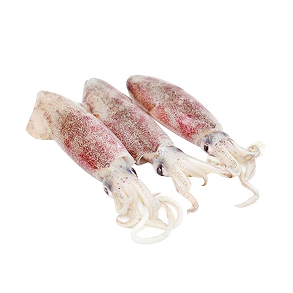Pusit 1KG