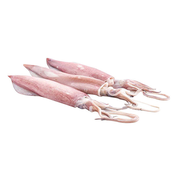 Pusit Lumot 1KG