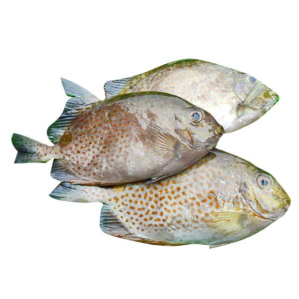 Samaral 1KG