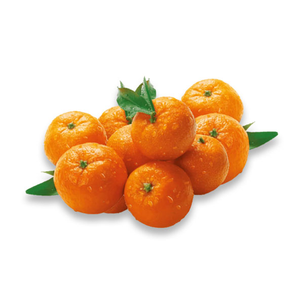 Q Ponkan 1KG