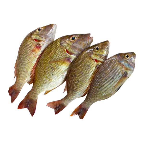 Bitilya (Emperor Fish) 1KG