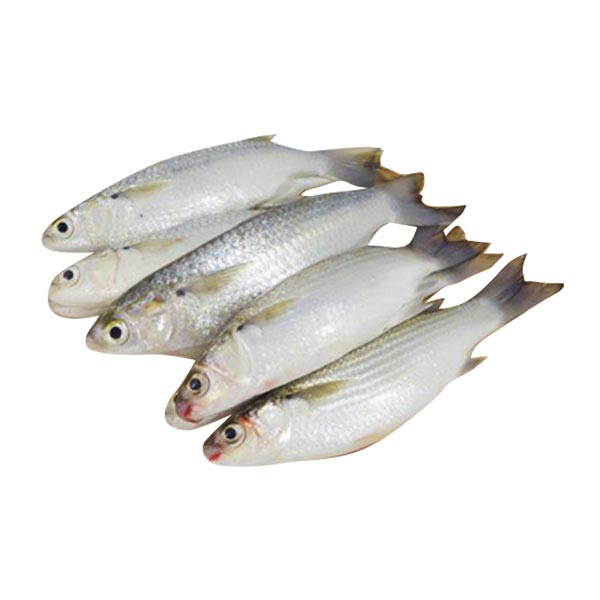 Biya 1KG