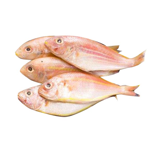 Bisugo 1KG