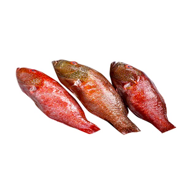 Lapu Lapu Red 1KG