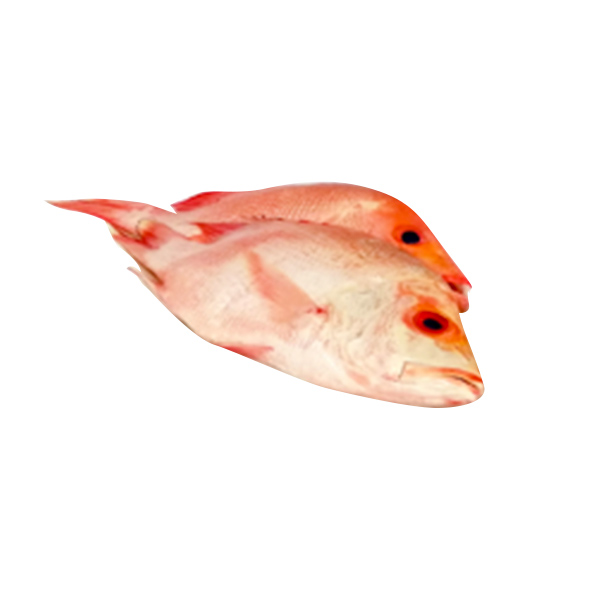 Maya Maya 1kg