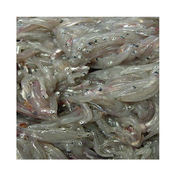 Dulong 1KG
