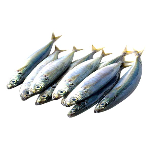 Galunggong Big 1KG