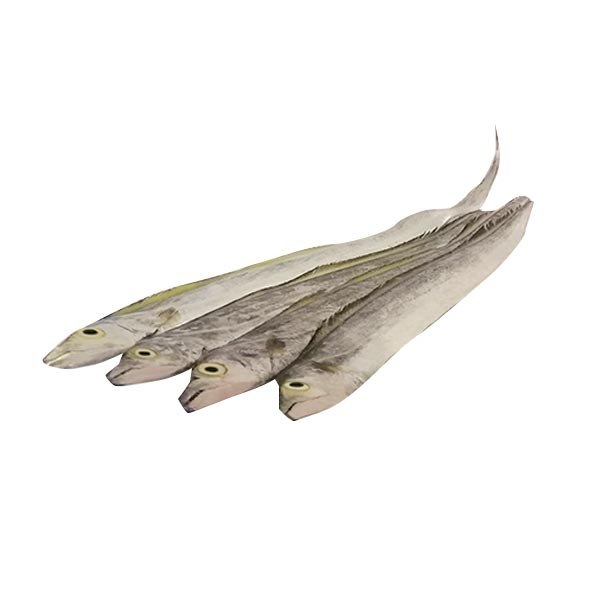 Espada 1kg