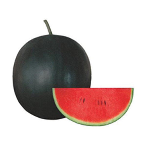 Watermelon Sugarbaby 1KG