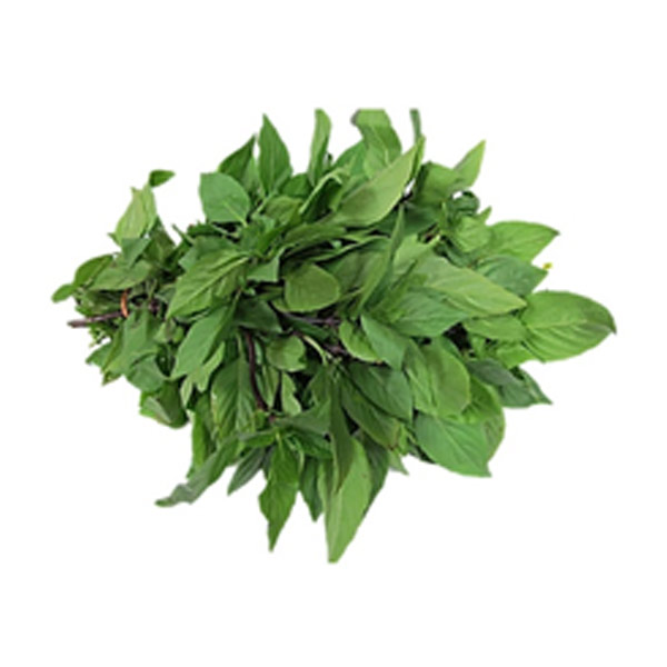GF Basil