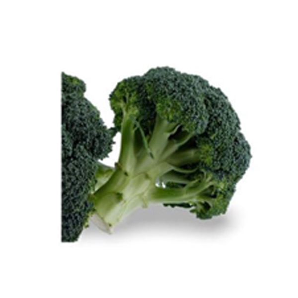 GF Broccoli Baguio