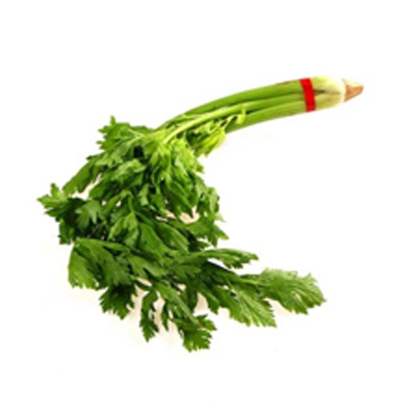 GF Celery 1KG
