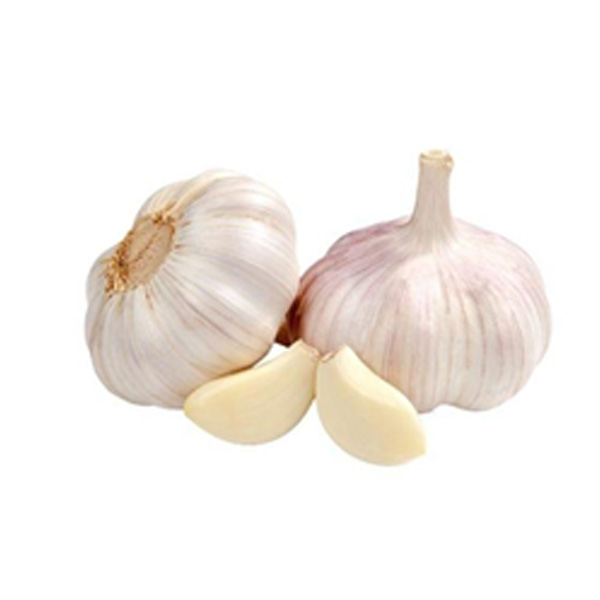 GF Garlic Taiwan Fresh 1kg