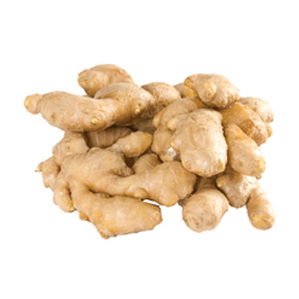 GF Ginger