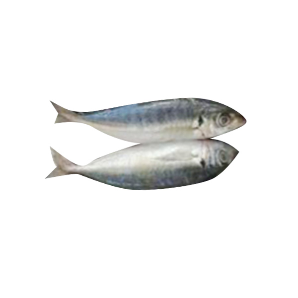 Mamalit Head Tail 1KG