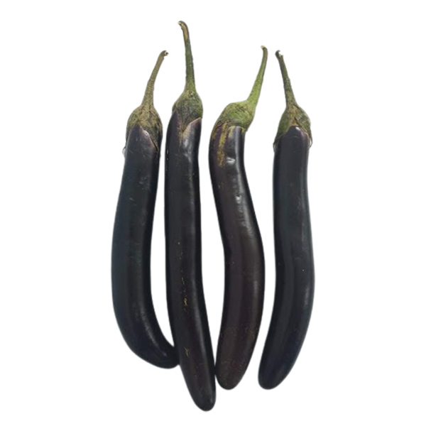 Eggplant (Talong) - Kilo