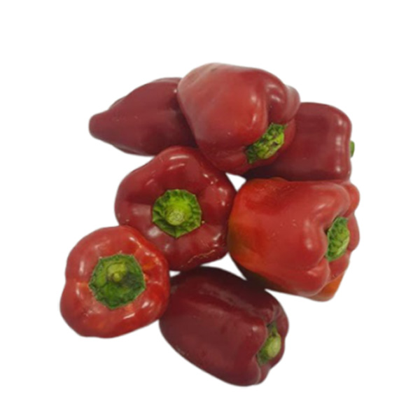 Red Bell Pepper - Kilo