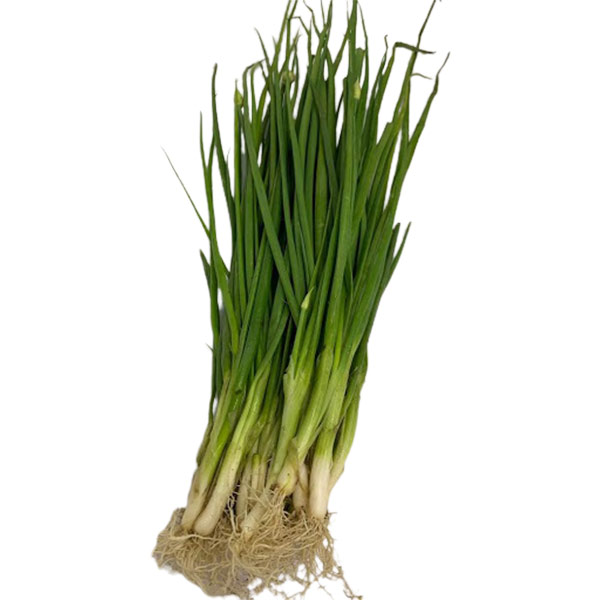 Spring Onions (Approx. 250g)