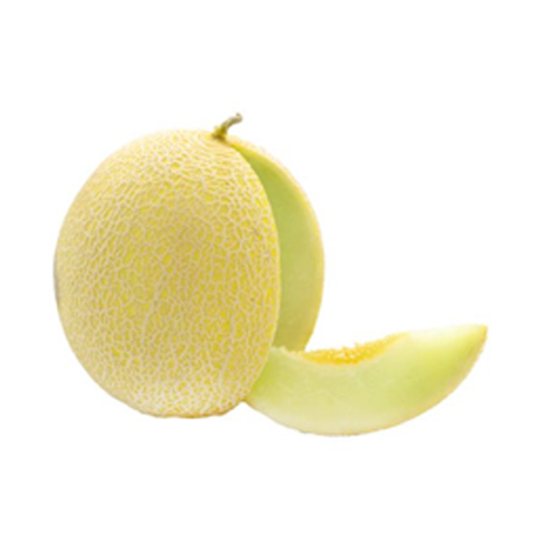 Honeydew White