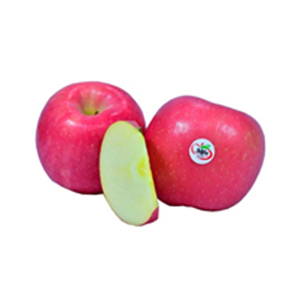 Alfa Fuji Apple #100 1KG