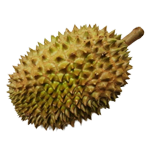 Durian - Kilo