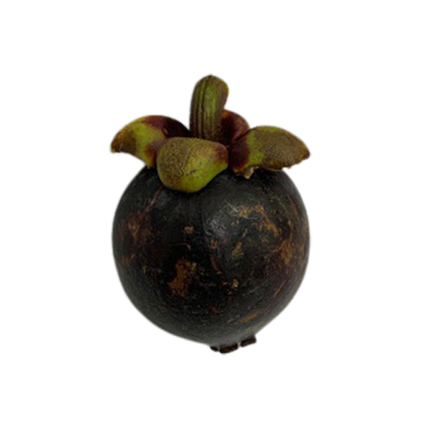 Mangosteen 1KG