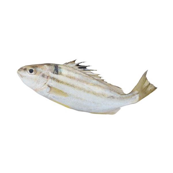 Babansi 1KG