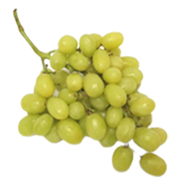 Green Seedless Grapes 1kg