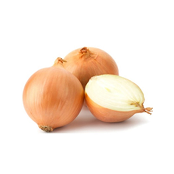 GF White Onion Imported