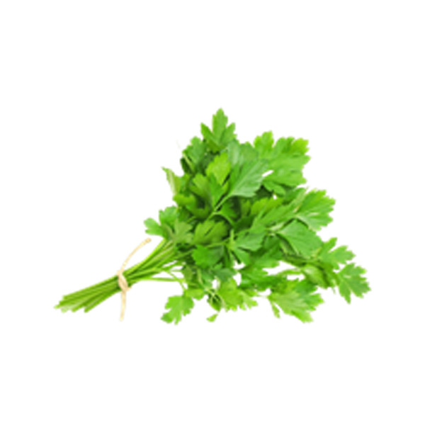 GF Parsley