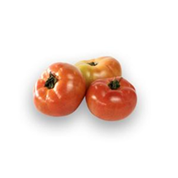 GF Tomato Baguio 1KG