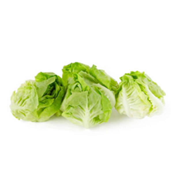 GF Lettuce Iceberg (Sweetbee) 1KG