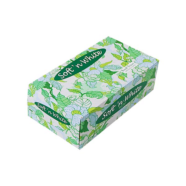 Extra Facial Tissue Light Green Box 2Ply 140 Pulls