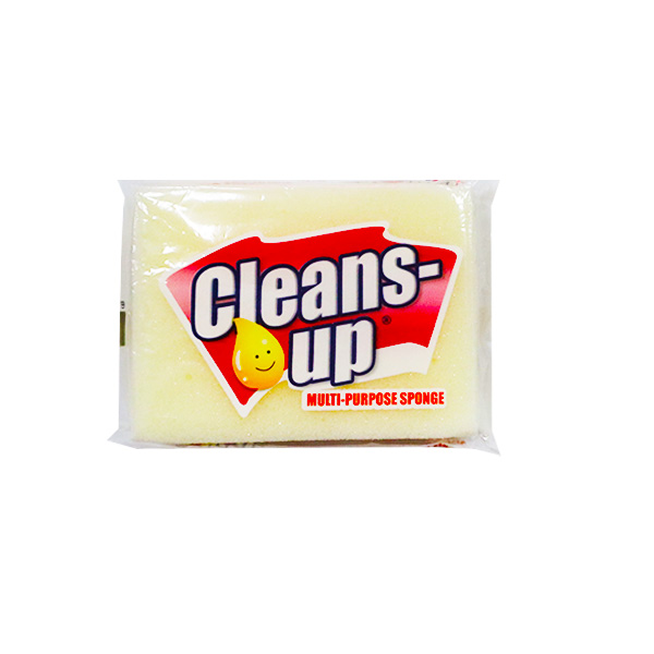 Multi Purpose Sponge Small