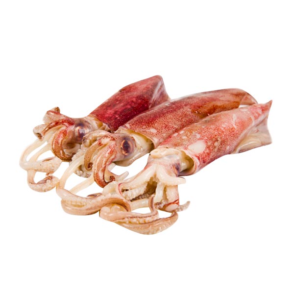 Baby Pusit 1KG