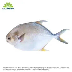 SMI Pampano White 1KG