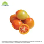 QV Tomato Native 1kg