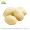QV White Potato 1kg
