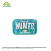 Big Sky Mints Wintergreen 50g