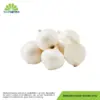 Qv White Onion Kg
