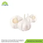 Qv Garlic Kg