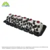 Sc Black Forest Special Full