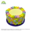 SC Celebration Choco Petite
