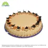 SC Celebration Moch Cake Big 12'S