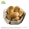 SC Pandesal Palin Big