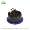 SC Cake Petite