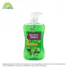Savers Select Green Tea And Aloe Hand Wash 500ml